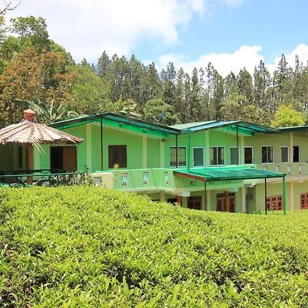 Narra Homestay Maskeliya المظهر الخارجي الصورة