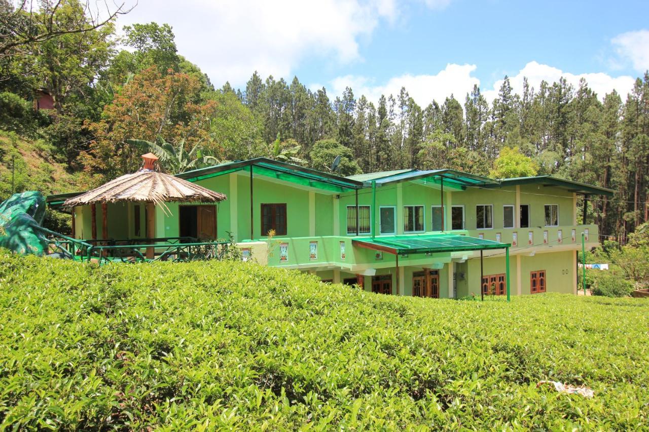 Narra Homestay Maskeliya المظهر الخارجي الصورة