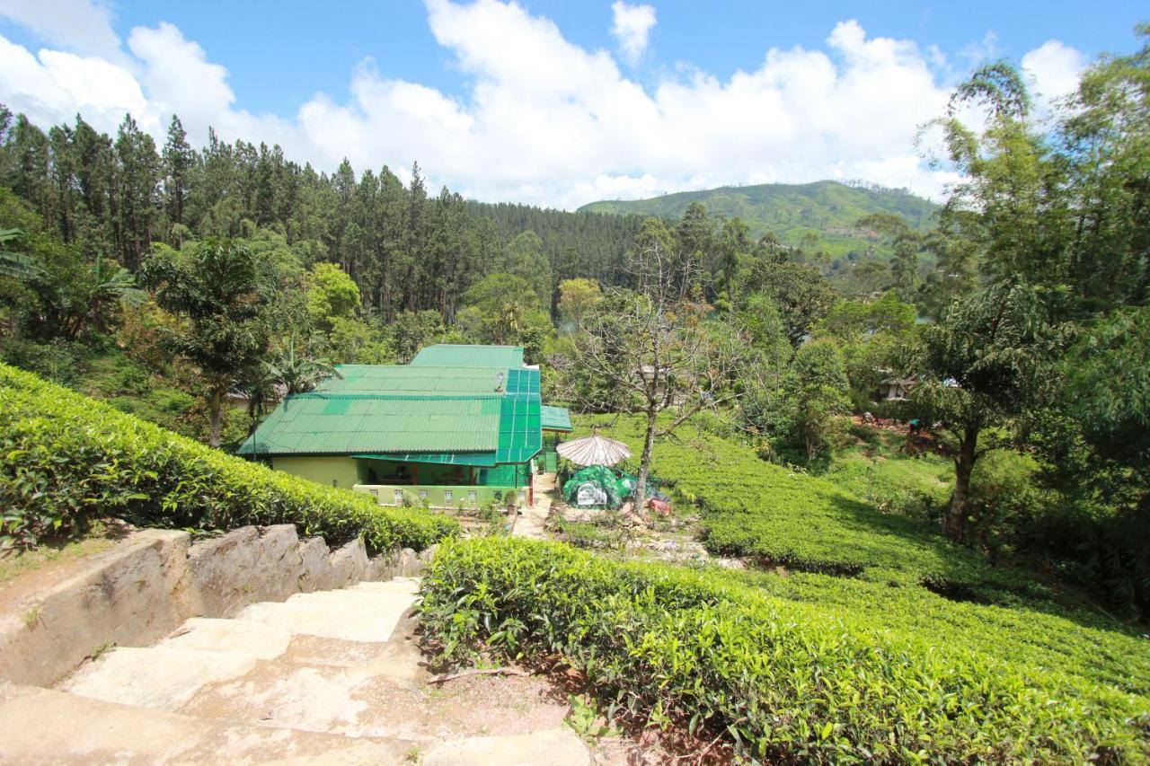Narra Homestay Maskeliya المظهر الخارجي الصورة